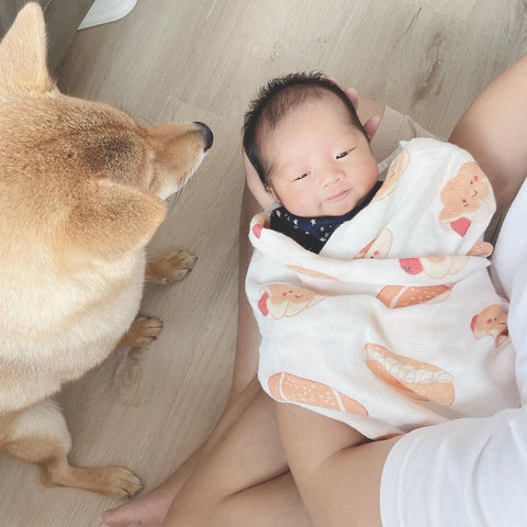 Pack a swaddle blanket in your hospital bag to help with bringing your baby home with pets