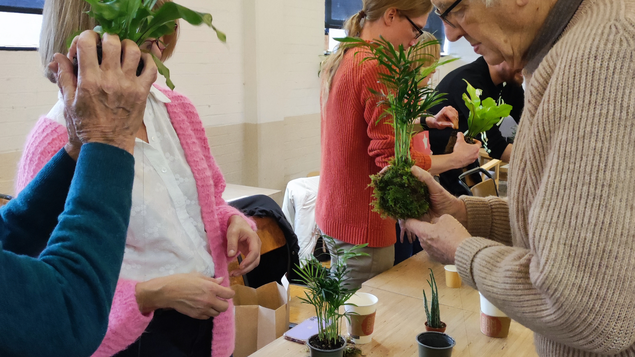 Kokedama workshop plant community gardening