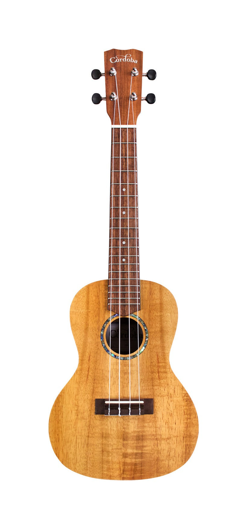 Cordoba 24T-CE Tenor Electric Spruce Ukulele – Maar's Music