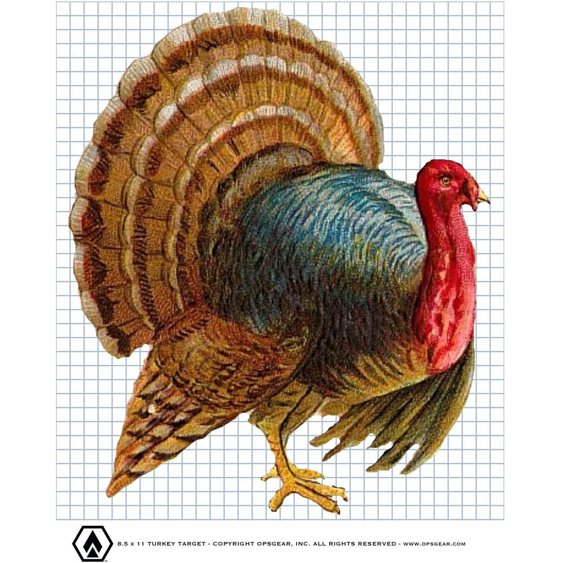 free 8 5 x 11 turkey target pdf file survival ops gear