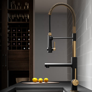 https://cdn.shopify.com/s/files/1/2568/3480/products/KRAUS-Artec-Pro-2-Function-Commercial-Style-Pre-Rinse-Kitchen-Faucet-in-Brushed-GoldMatte-Black_384x384.jpg?v=1664255132