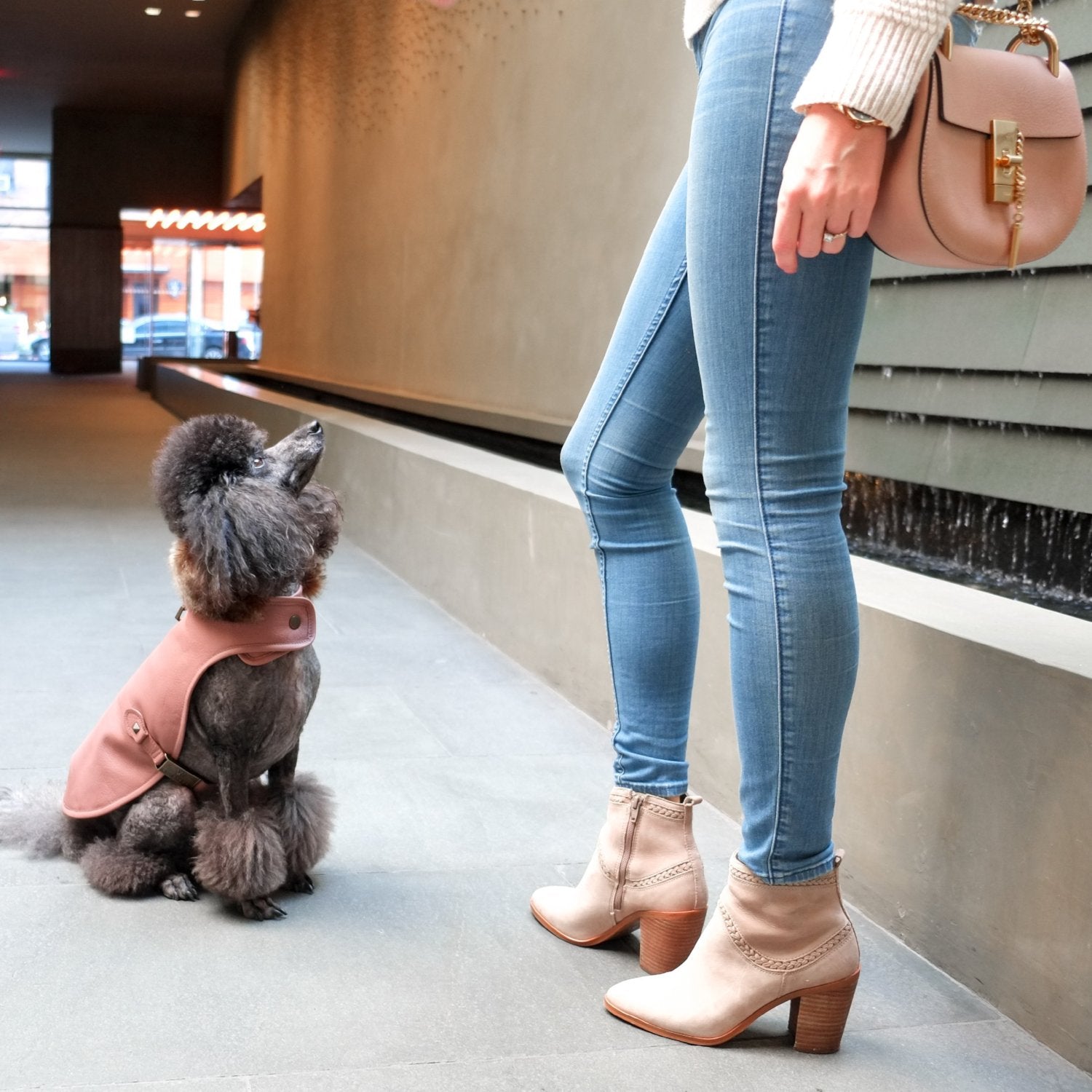 Wolfpack NYC Rose Leather Dog Jacket | Designer Leather Dog Coat ...