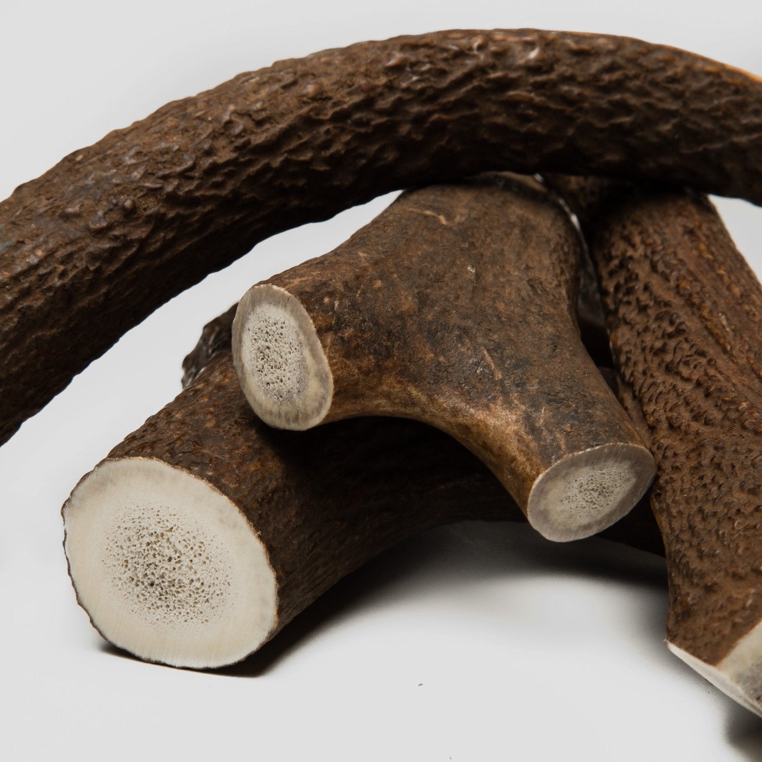 cloud7-natural-deer-antler-dog-chew-antler-dental-chew-for-dogs