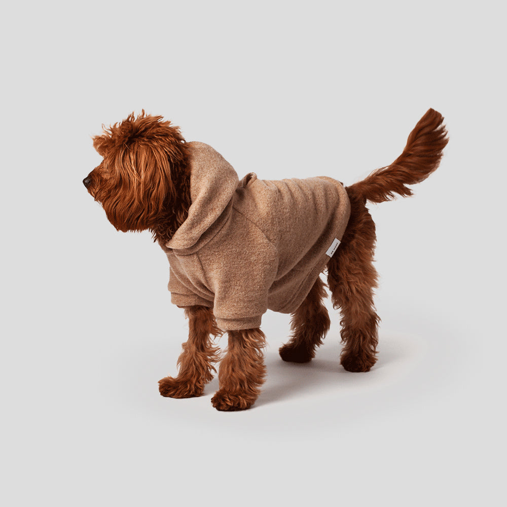 dog hoodie