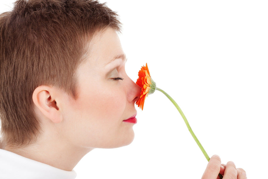 Superfoods For Your NOSE? If You Want To Breathe Easier, YES!