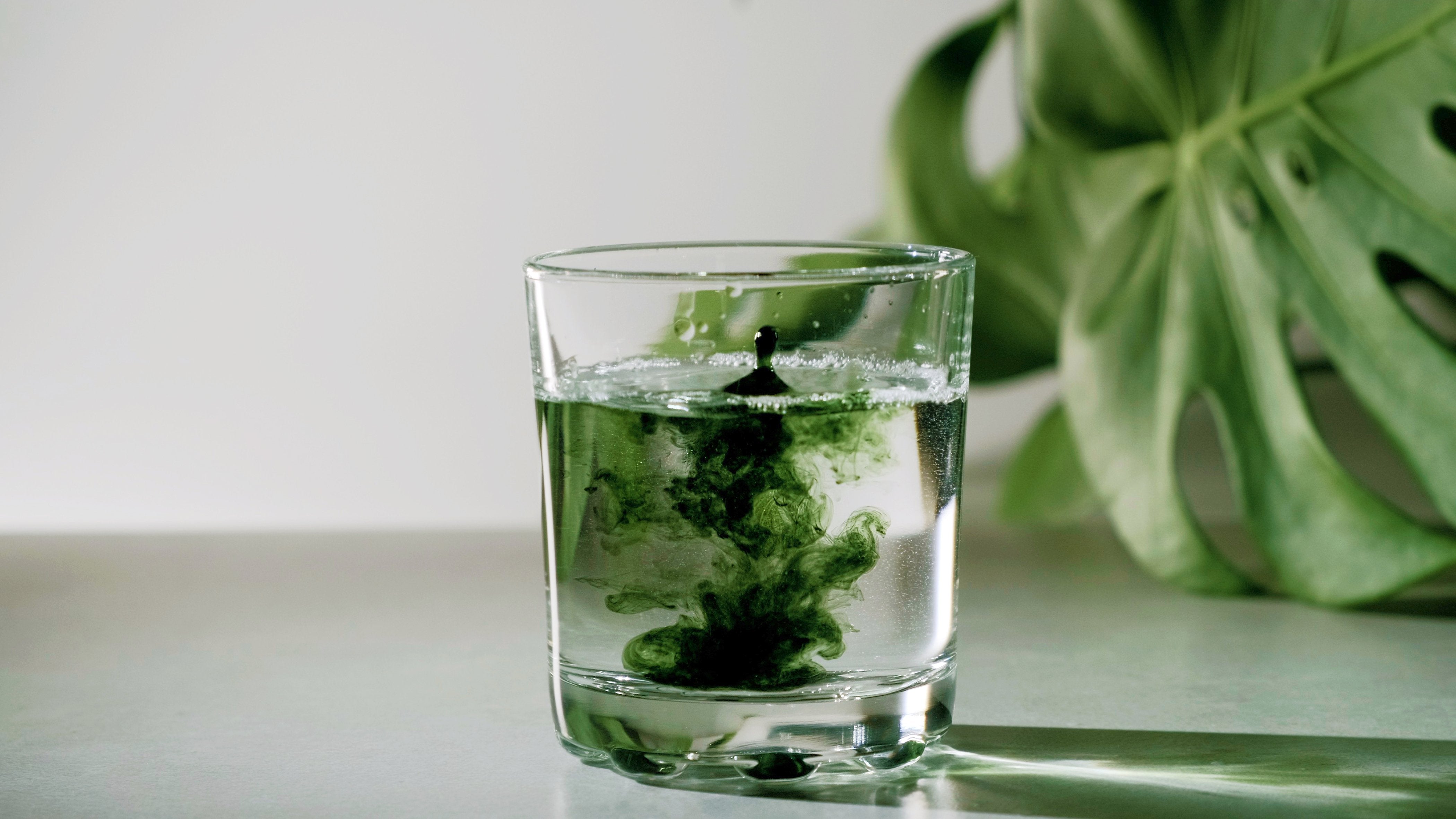 LIQUID CHLOROPHYLL: What’s Behind The TikTok Trend?