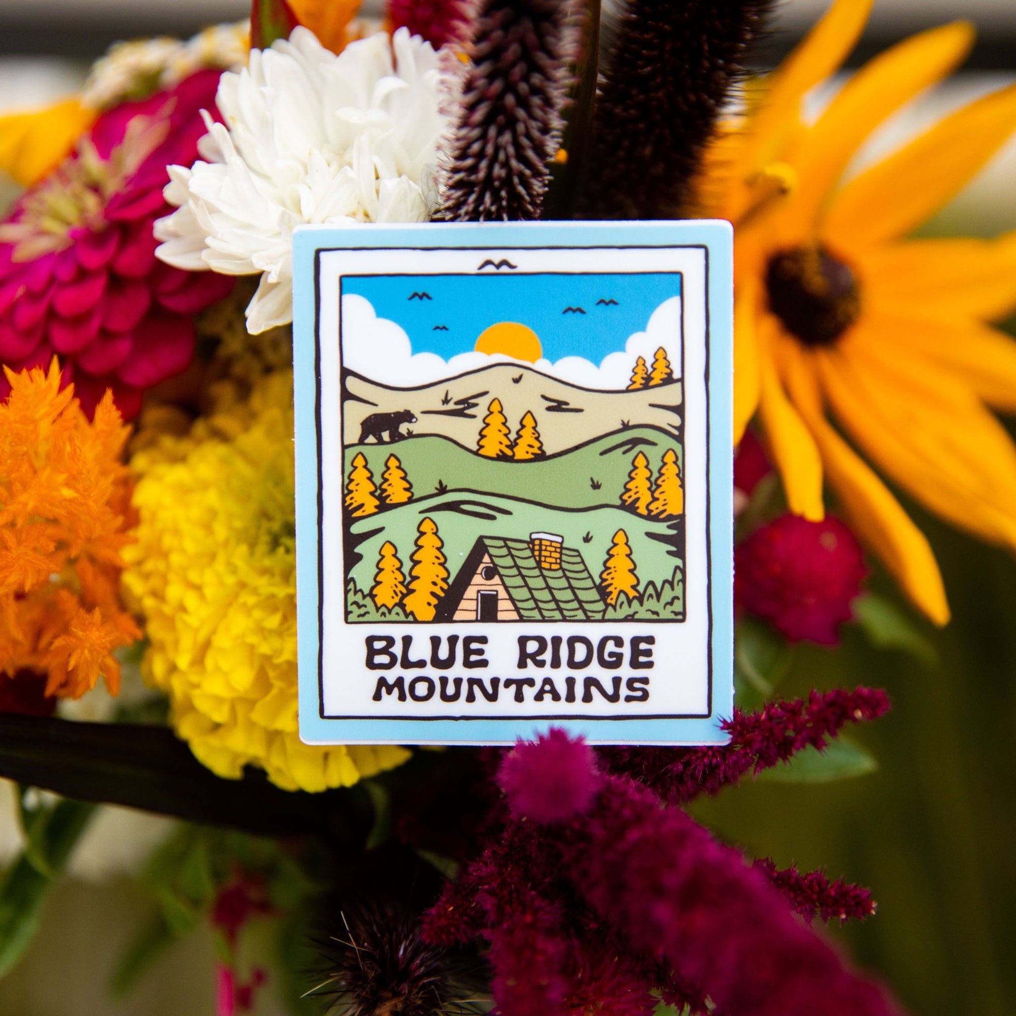 Blue Ridge Sticker Pack - menottees