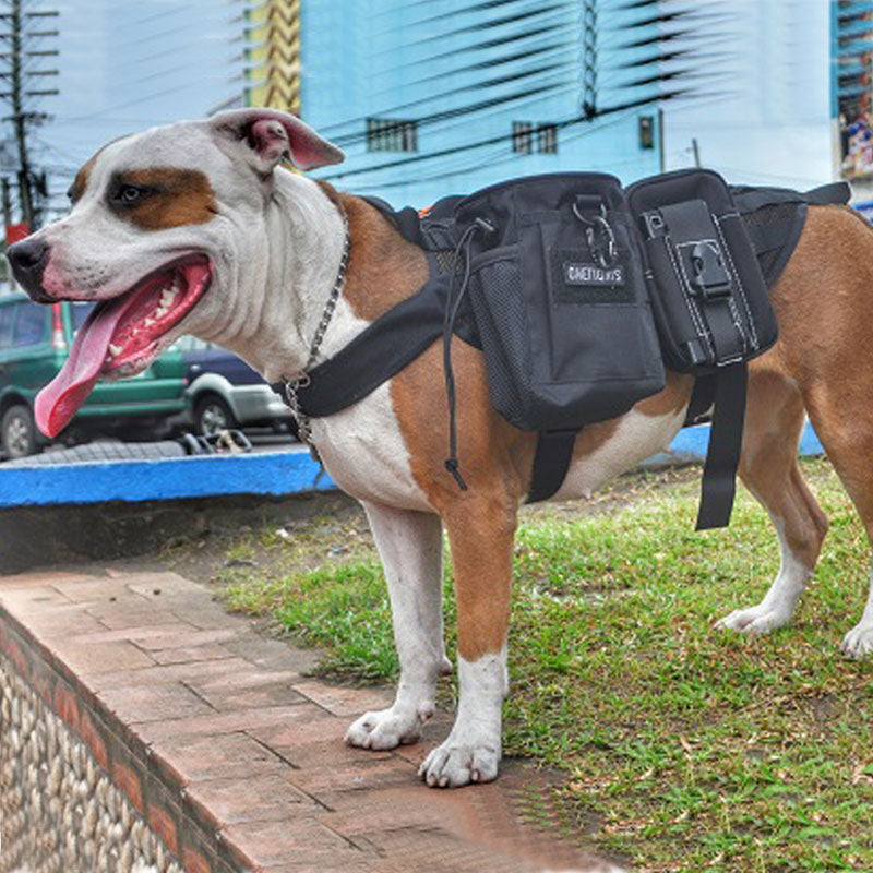 onetigris service dog vest