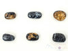 Fossilized PALM WOOD Tumbled Stones - Tumbled Crystals, Self Care, Healing Crystals and Stones, E1745-Throwin Stones