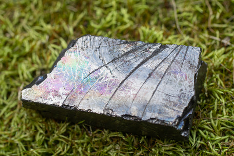 SHUNGITE – Throwin Stones