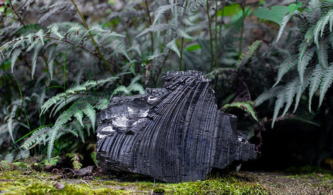 shungite stones