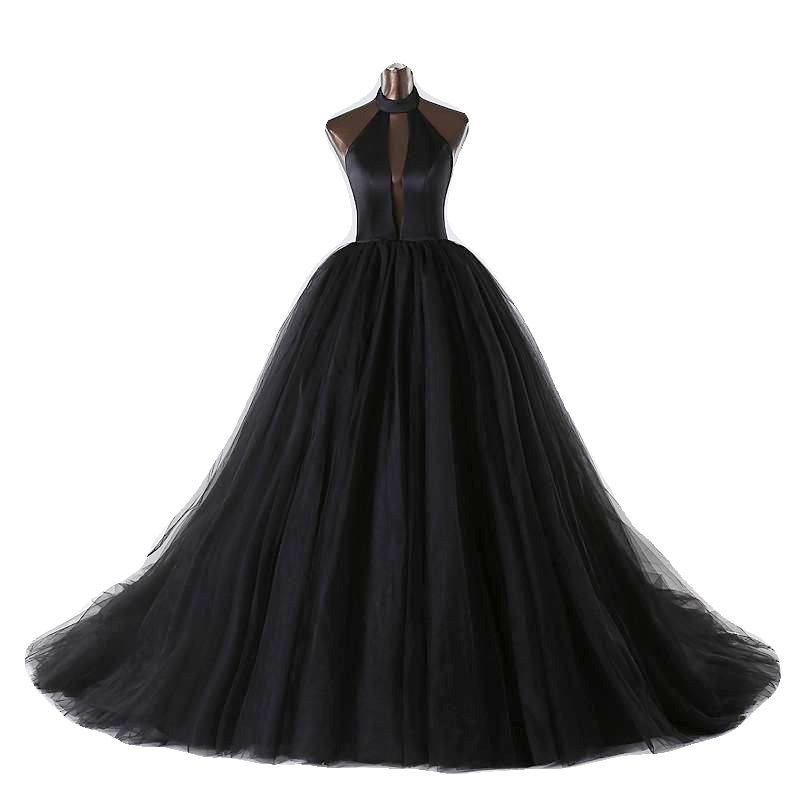 black swan gown
