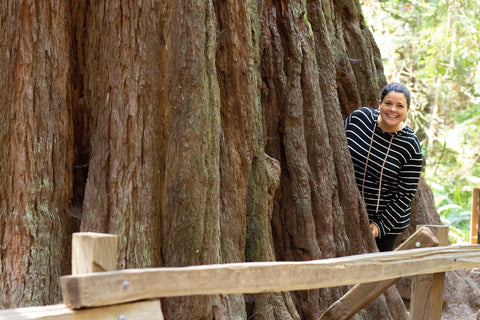 Muir Woods San Francisco