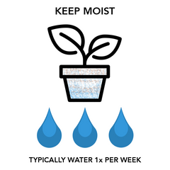 Keep MOIST