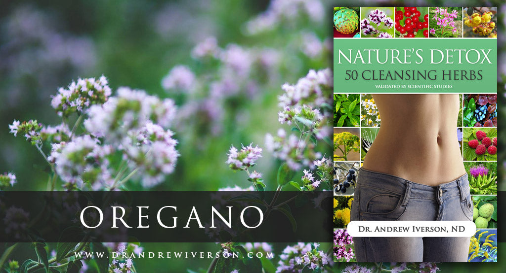 Oregano Helps Fight Infection Oregano for Infection Control Dr. I