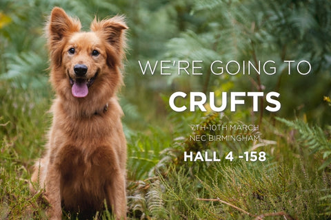An image of a dog with the text "We're going to Crufts 7th-10th March NEC Birmingham Hall 4 - 158"