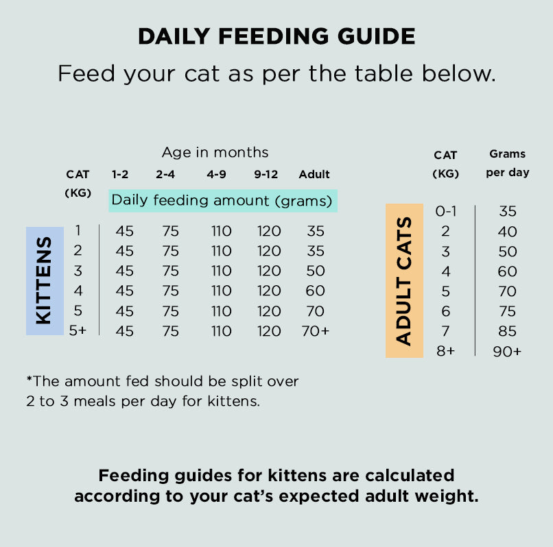 Fromm Cat Food Feeding Guide