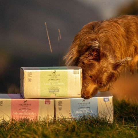 The Innocent Hound Complete Food for Puppies and Dogs