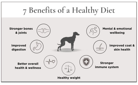 7 Benefits of Healthy Diet for Dogs - The Innocent Hound