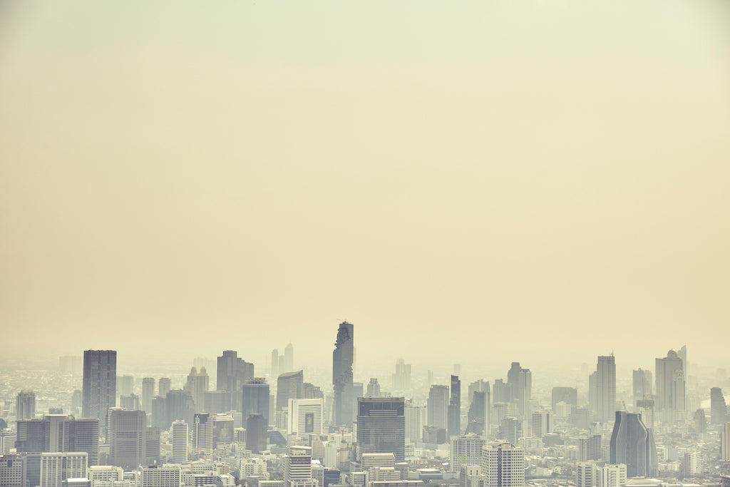 Bangkok Skyline by Thom Rigney