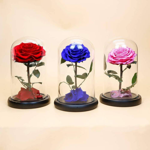 trandafiri criogenati nemuritori in cupola de sticla cu mesaj personalizat scris rezista 25 ani