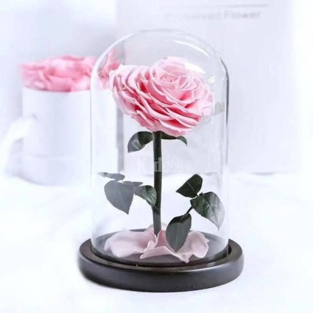 Trandafir Criogenat inima roz Ø9cm in cupola sticla 15x25cm
