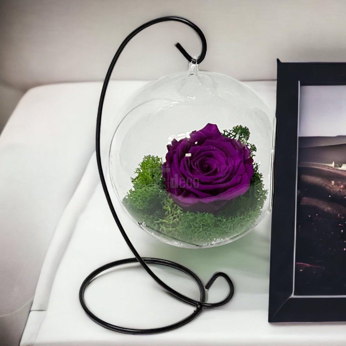Trandafir Criogenat Nemuritor purpuriu XL în Glob de Sticlă Suspendat 12cm - Rezistă 25 de Ani