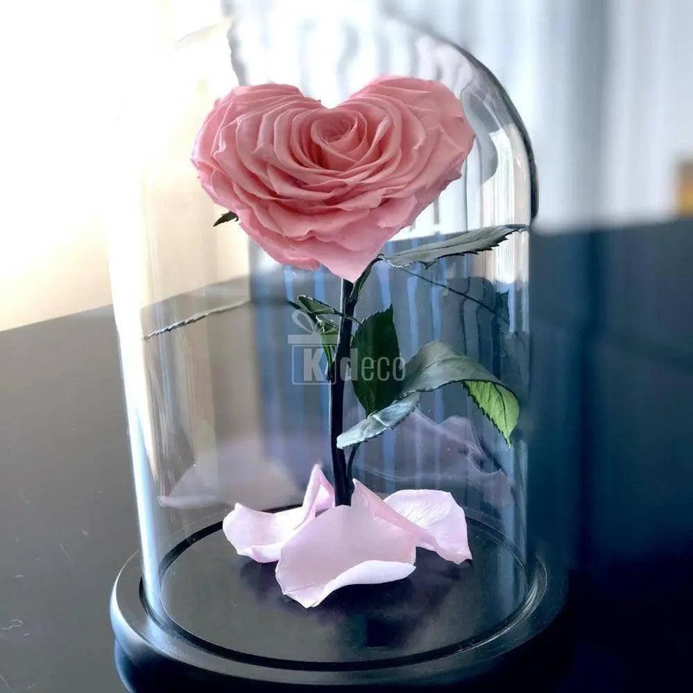 Trandafir Criogenat roz inima Ø9cm in cupola sticla 15x25cm