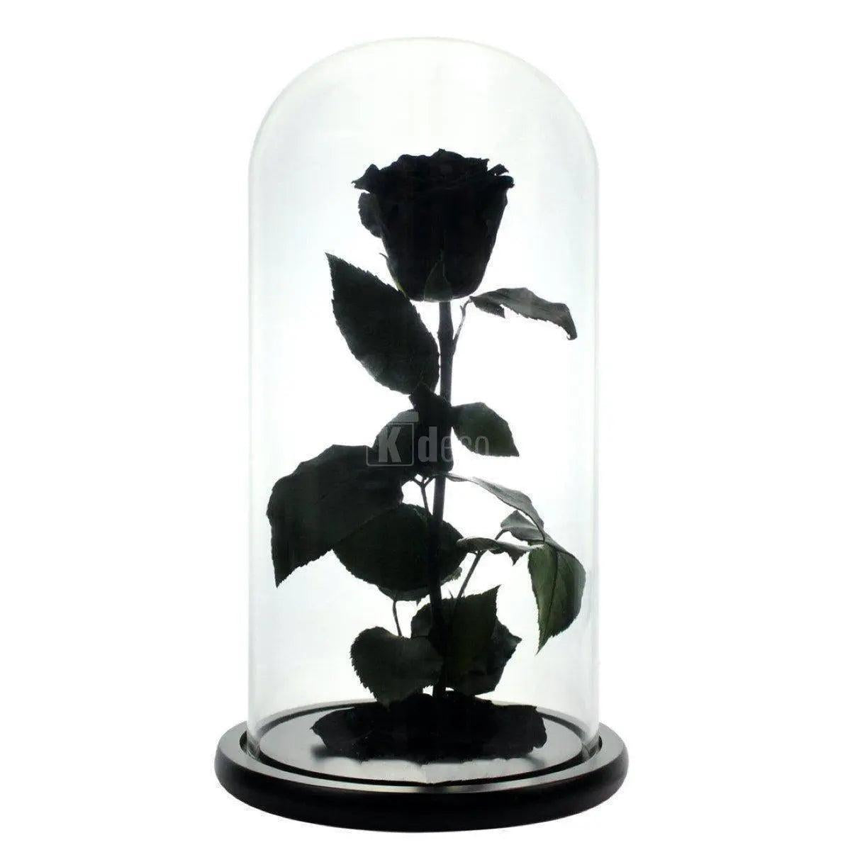 Trandafir Criogenat XL negru Ø6,5cm, cupola sticla 12x25cm
