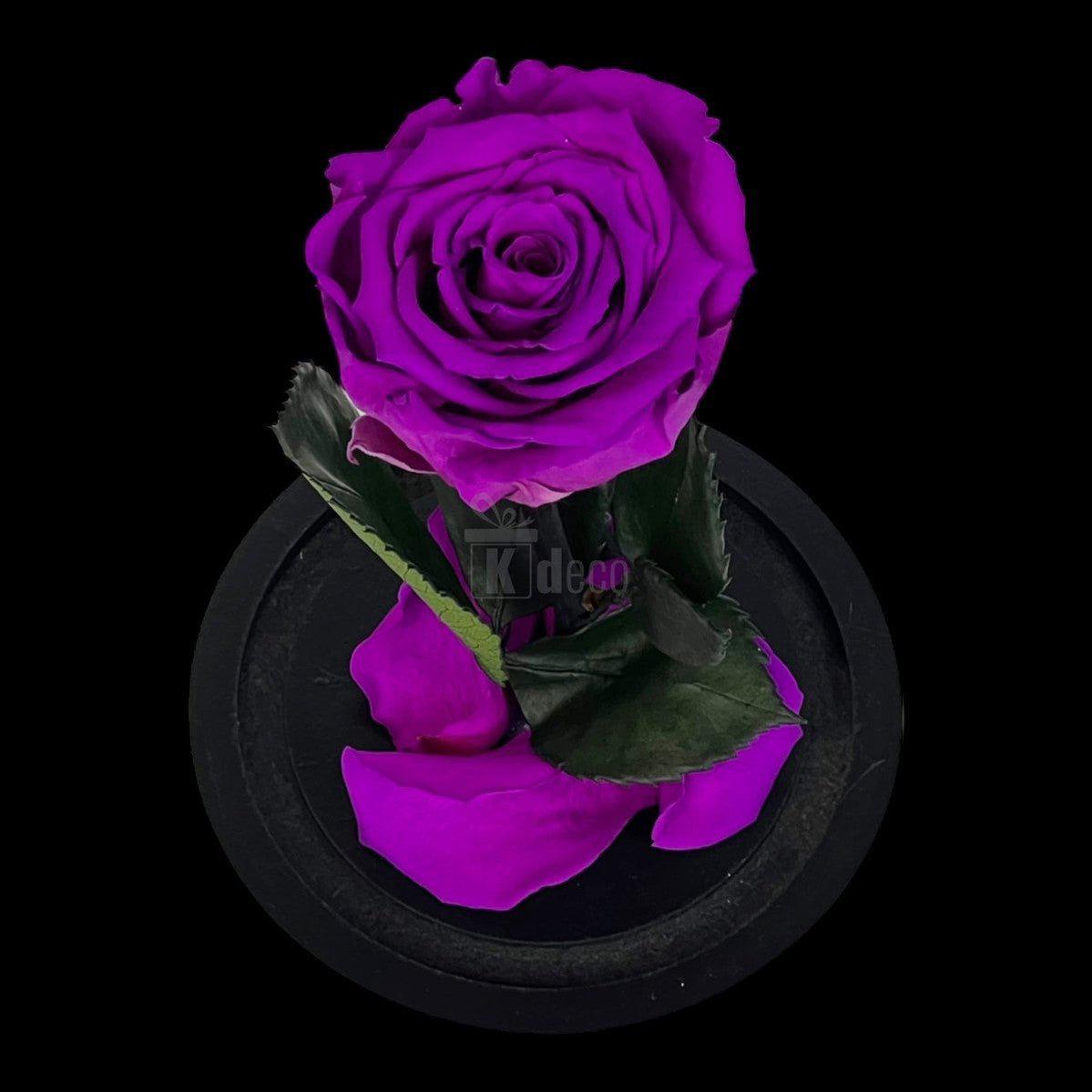 Trandafir Criogenat XL Purpuriu Deschis în Cupolă de Sticlă, Ø6,5cm, Cadou Ideal pentru Ocazii Speciale