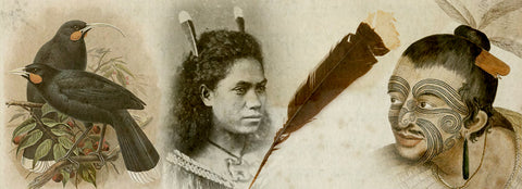 huia feather heru comb maori