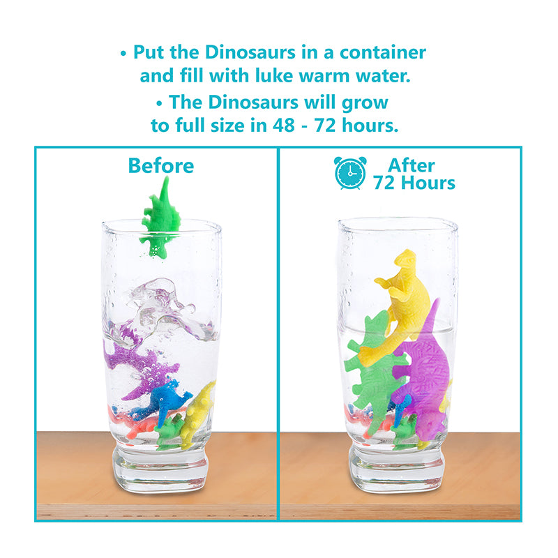 growing dinosaur in water