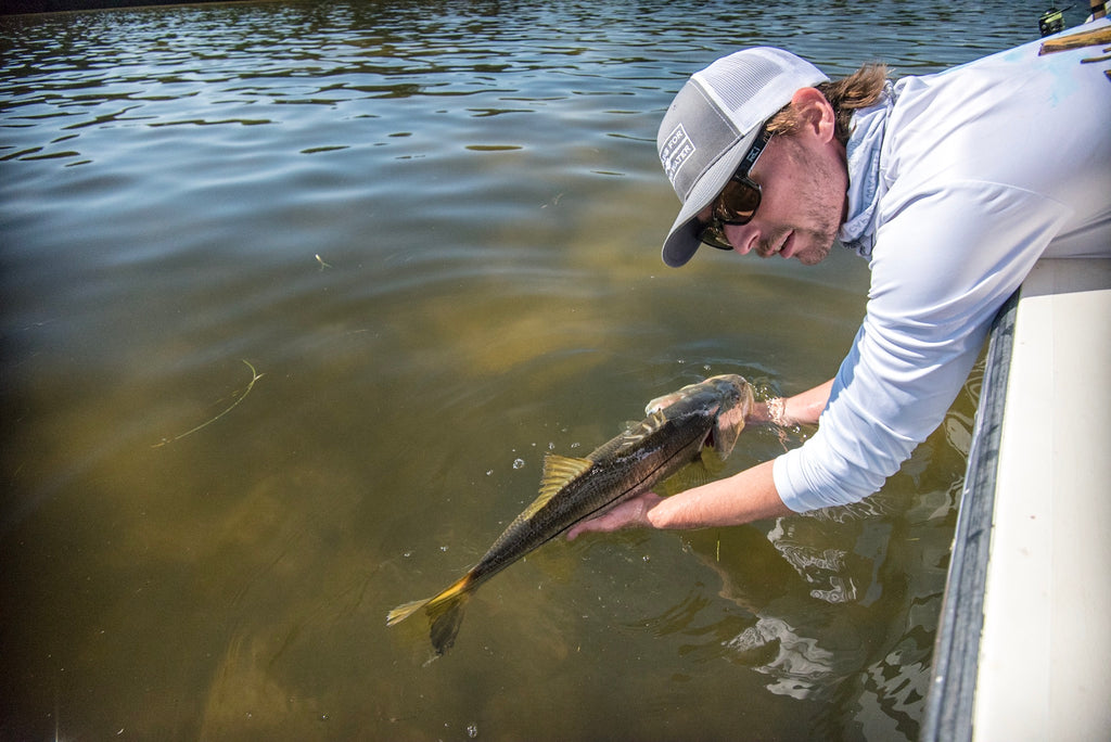 Tim releasing a Snook into Tampa Bay