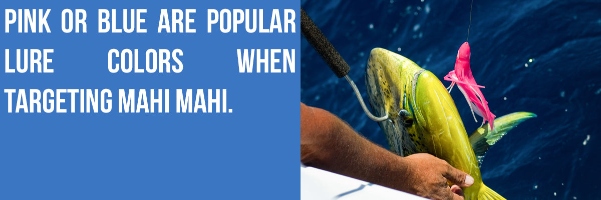 MAHI MAHI time is here! Get one of the best lures for Mahi here. - The Hull  Truth - Boating and Fishing Forum