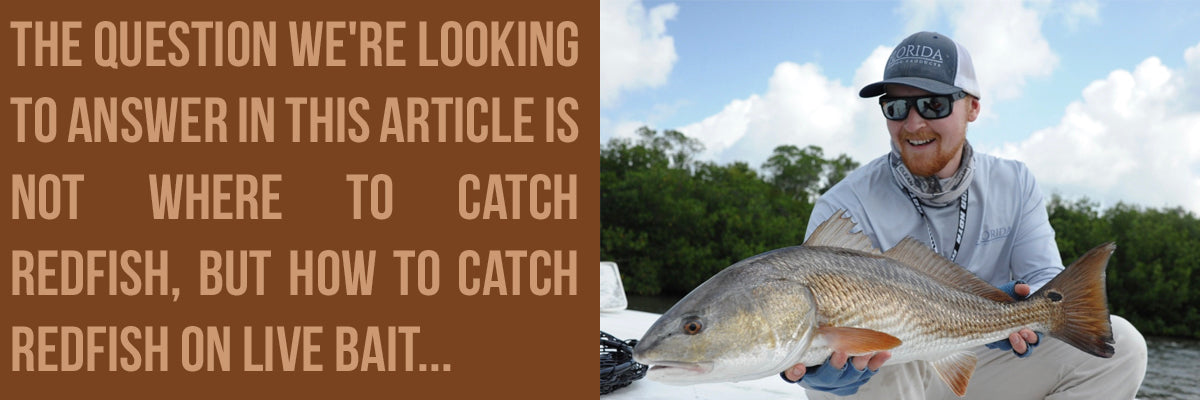 How To Catch Redfish (Red Drum) - A Man Holding A Redfish