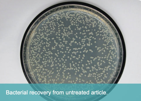 Untreated control shows bacterial growth.