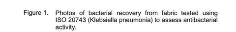Figura 1. Fotografías de la recuperación bacteriana de la tela probada con ISO 20743 (Klebsiella pneumonia) para evaluar la actividad antibacteriana.