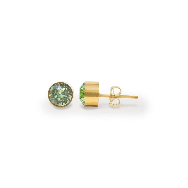 Stainless Steel Stud Earring August Birthstone Gold Plated