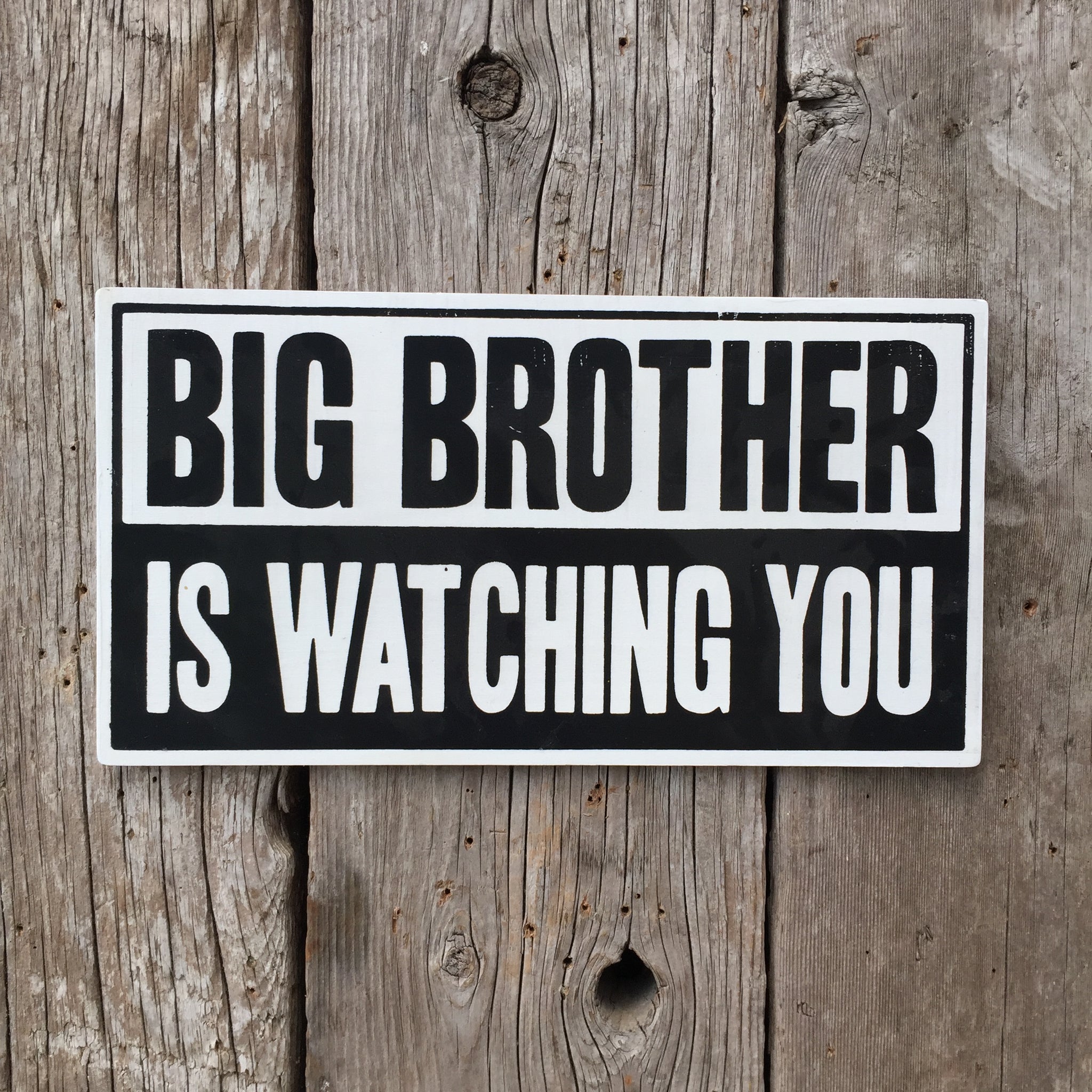 Big brother is watching you что это