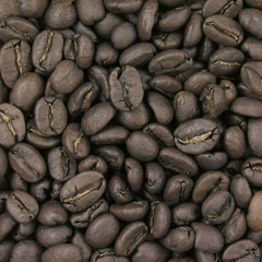 Hill Tree City Roast Coffee Beans