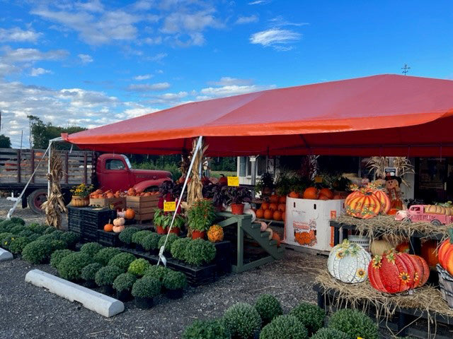 bright orange colored tent