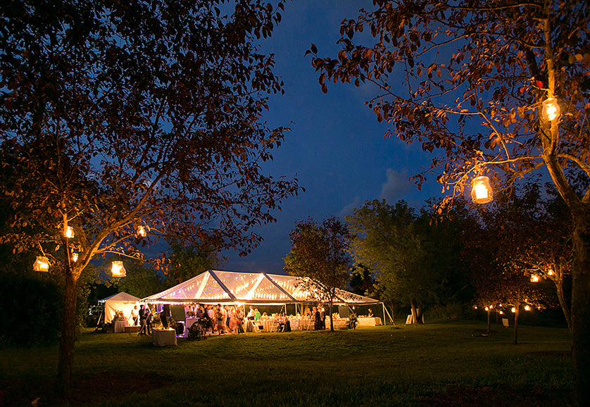 backyard wedding tent