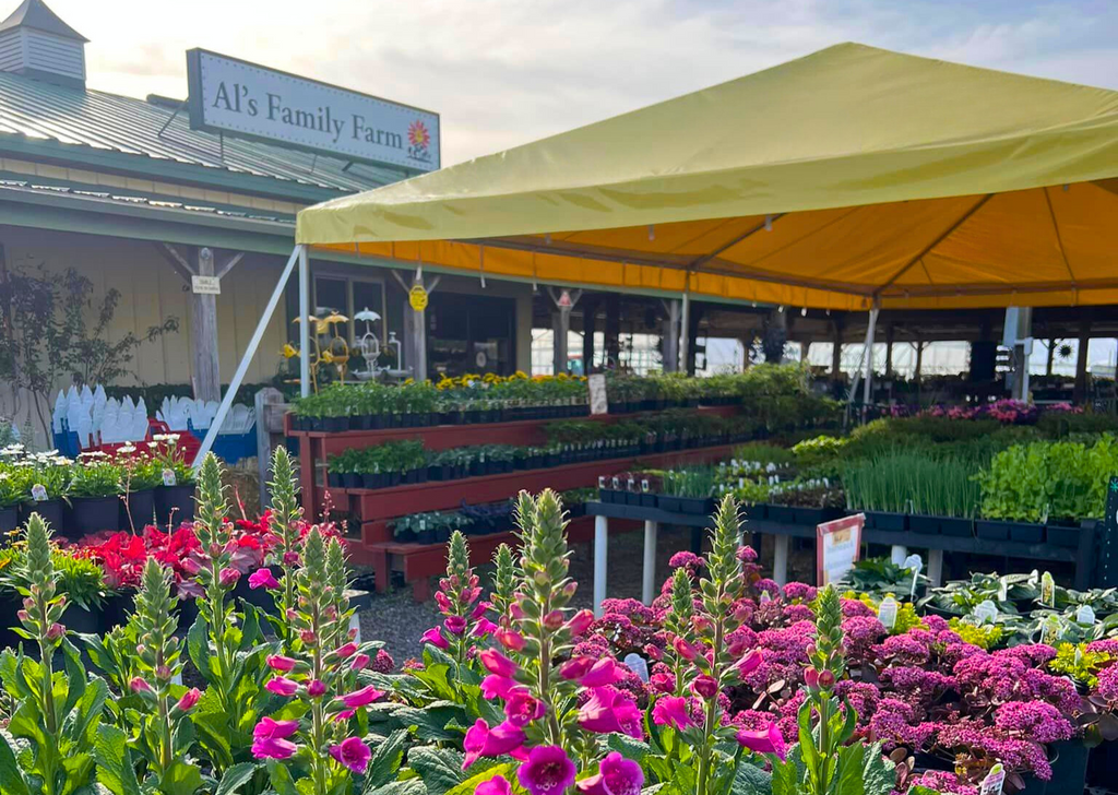 tent with bright colors