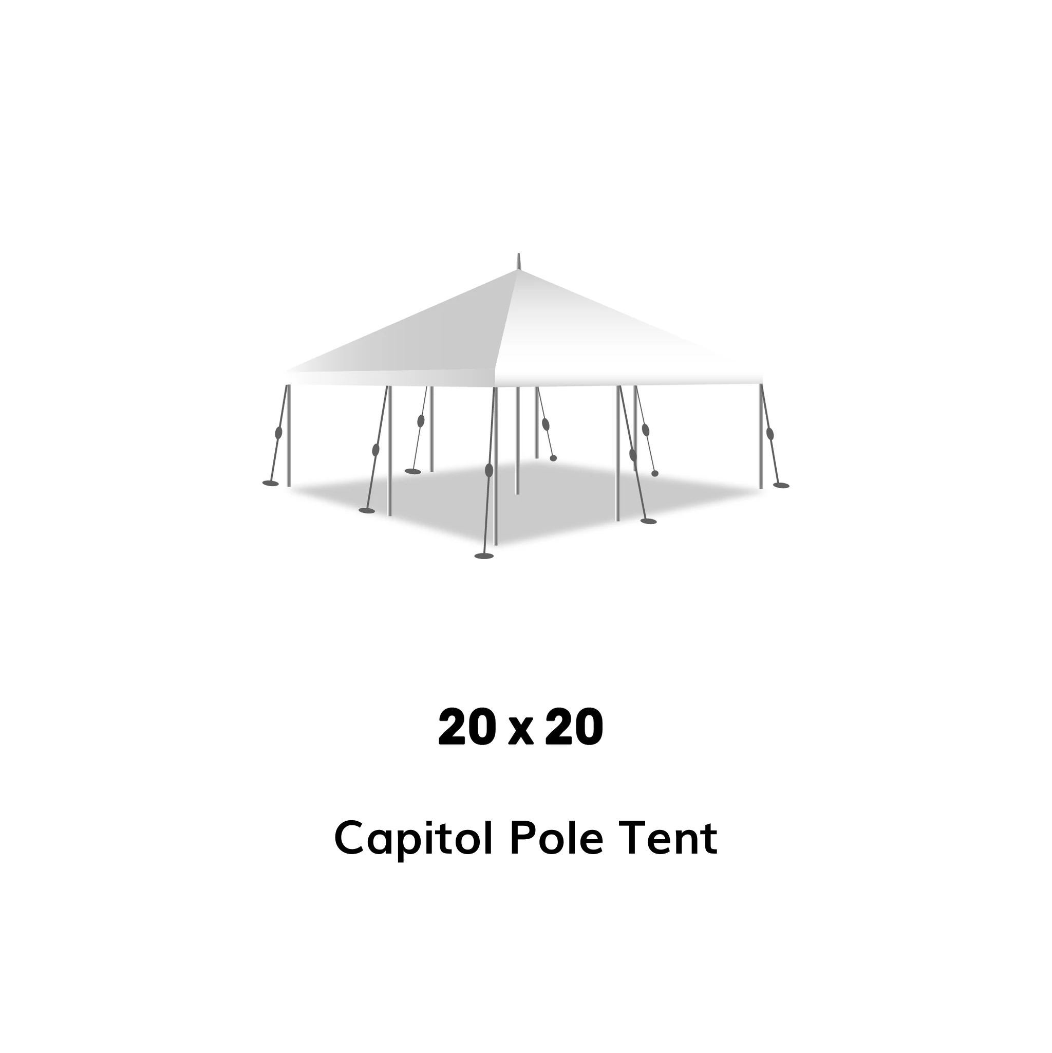 Shelter Your with a & Stylish Pole Tent