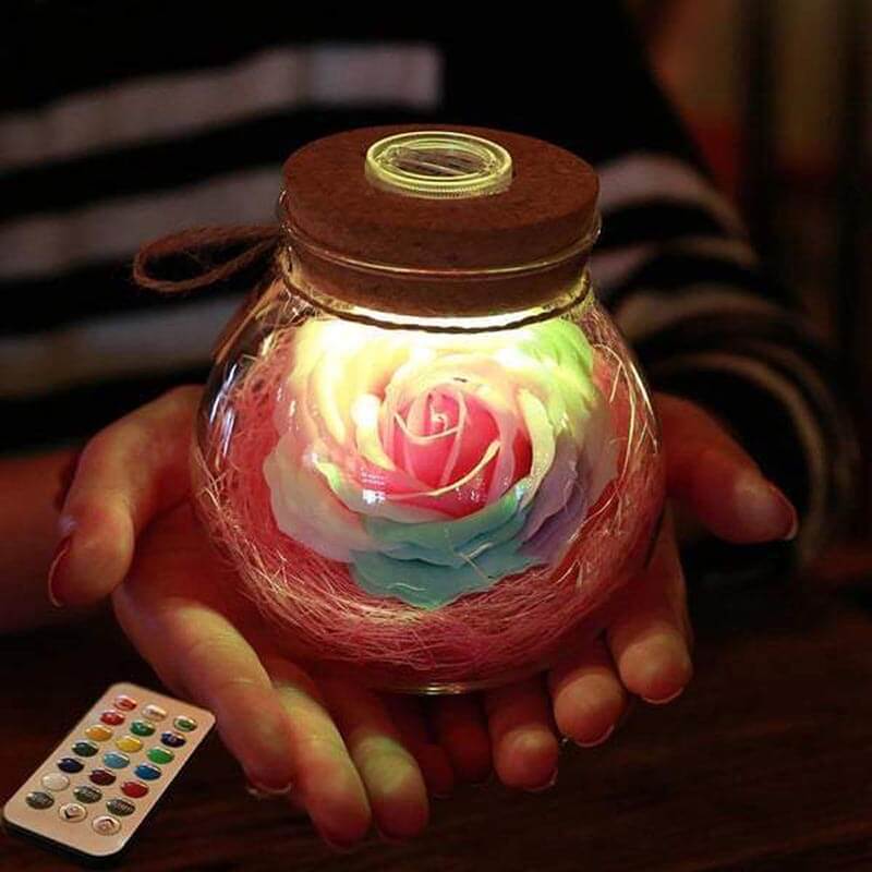 Illuminated Rose In a Bottle Light