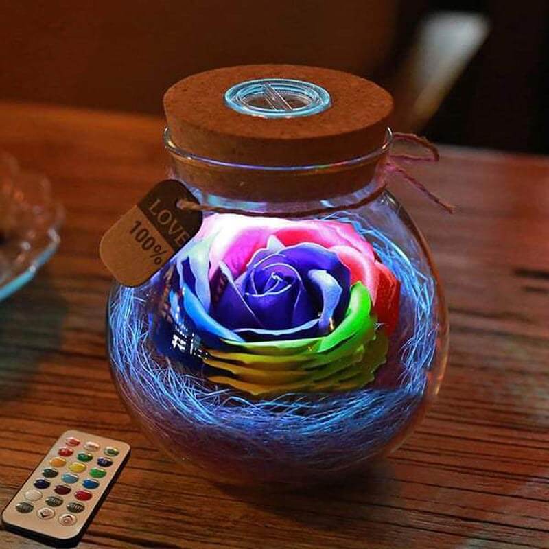 Illuminated Rose In a Bottle Light