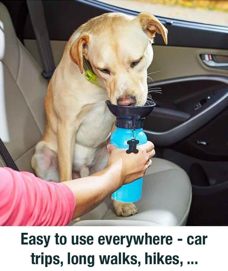 Portable Doggy Water Bottle