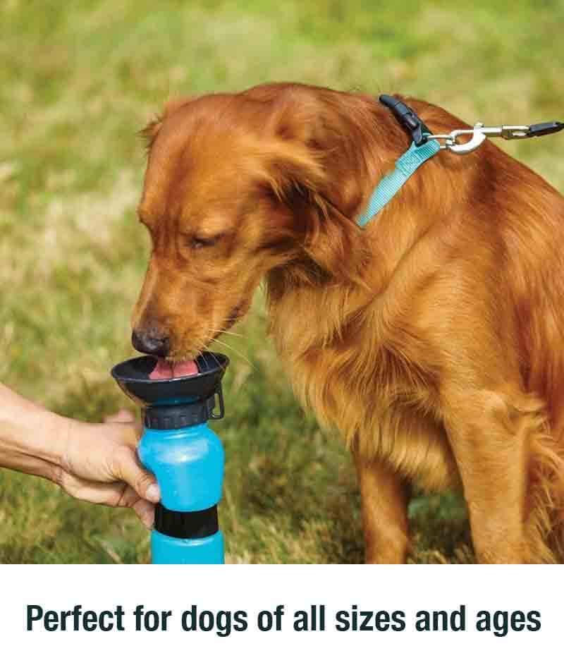 Portable Doggy Water Bottle