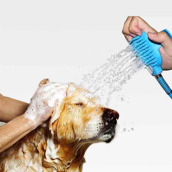 pet shower