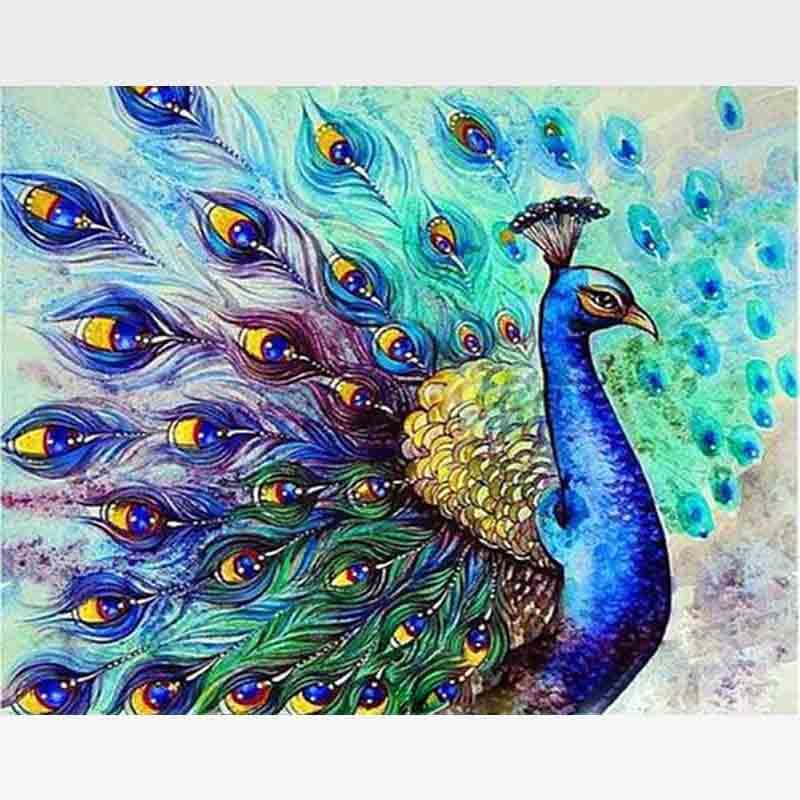 Peacock Paint by Numbers Oil Painting for Adults Kids Paint by